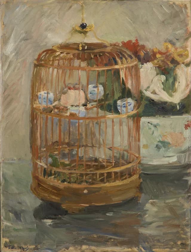 The Cage
