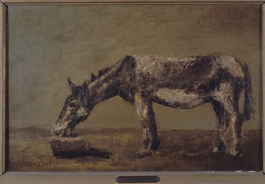 The Donkey