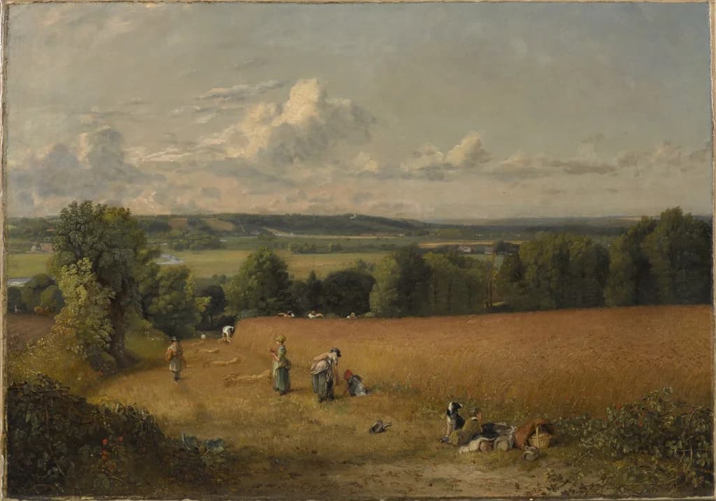 Das Weizenfeld