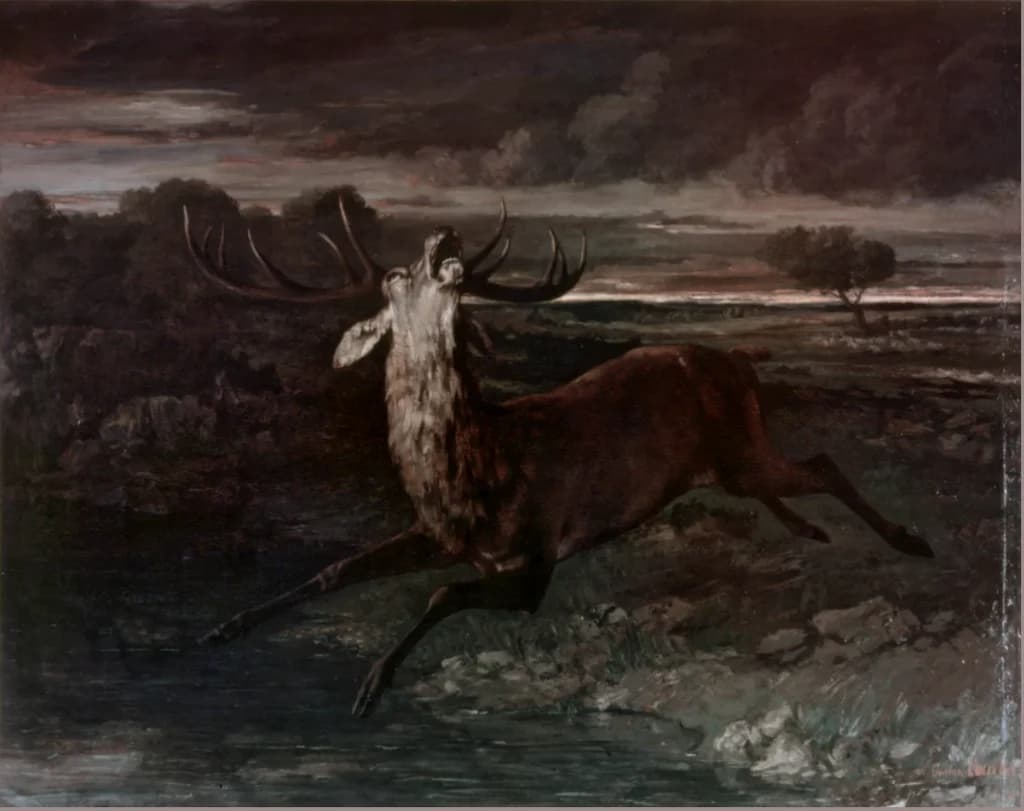 Deer by Water