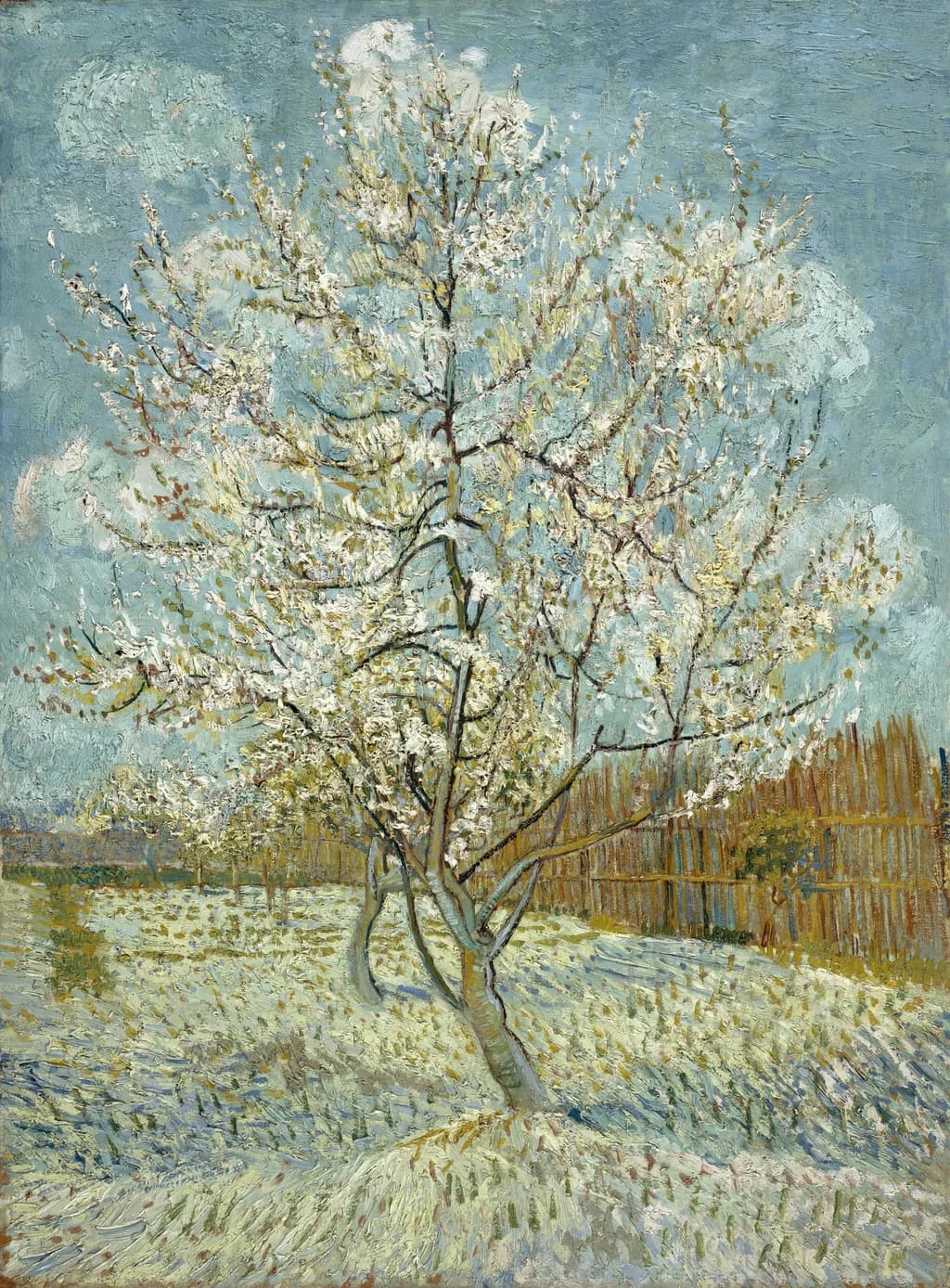 The pink peach tree