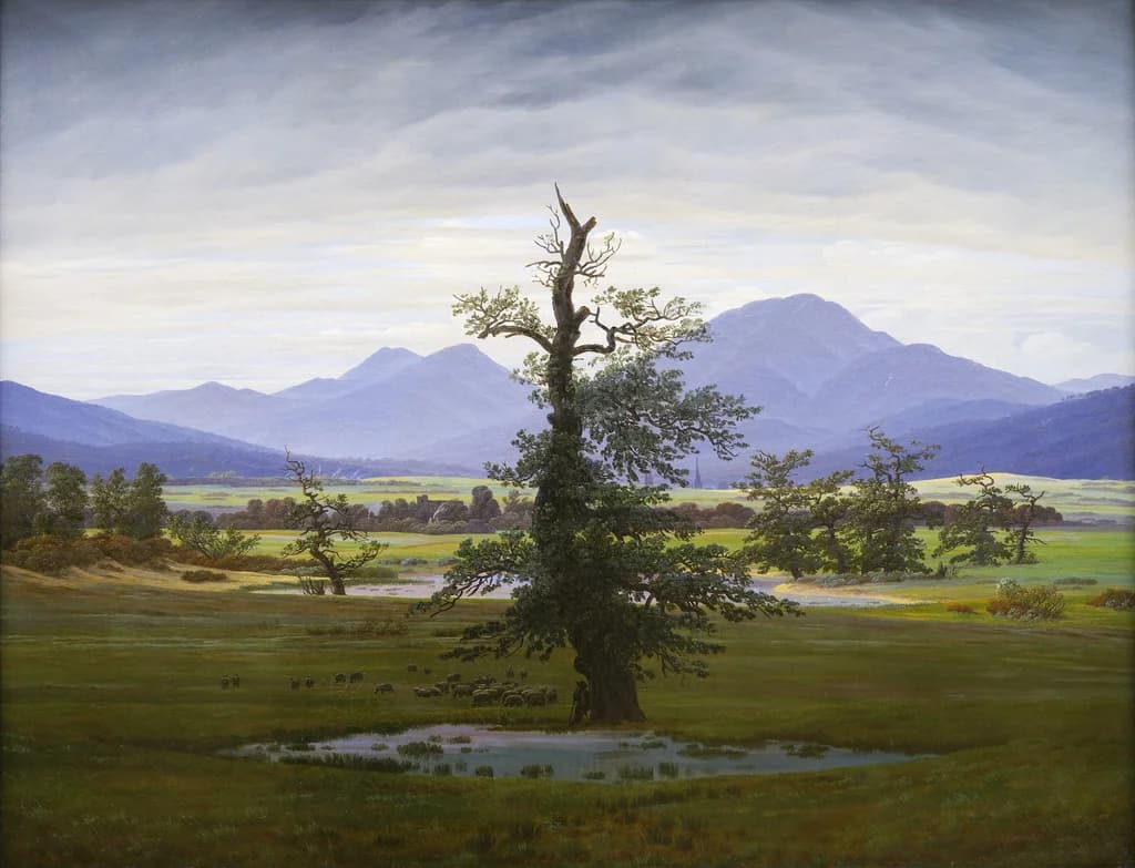 Solitary Tree