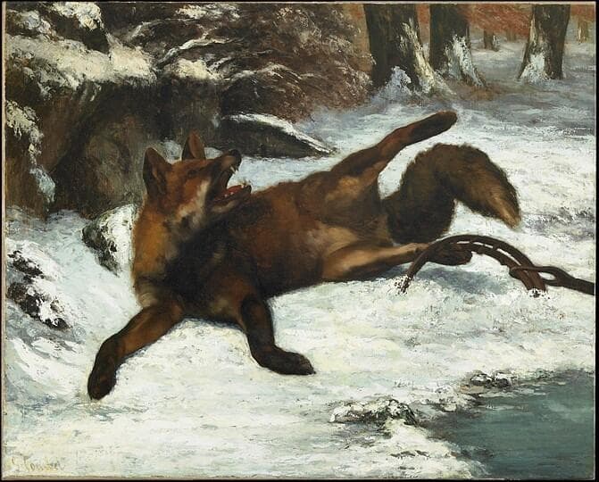 The Fox Caught in a Trap