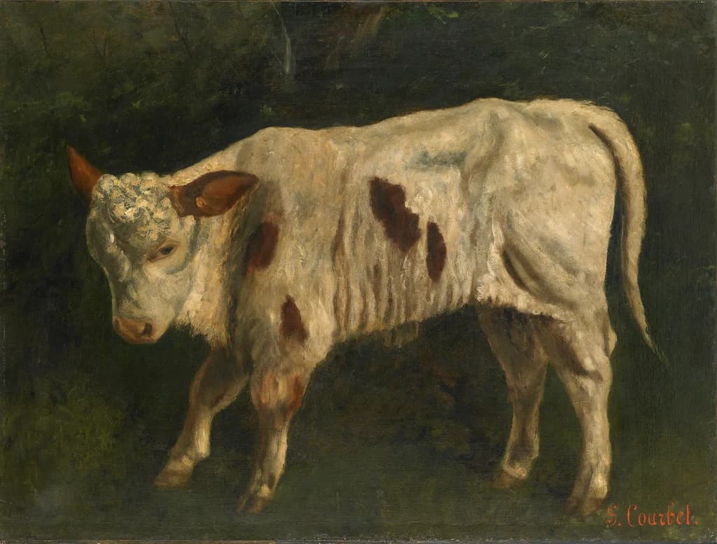 Le Veau blanc
