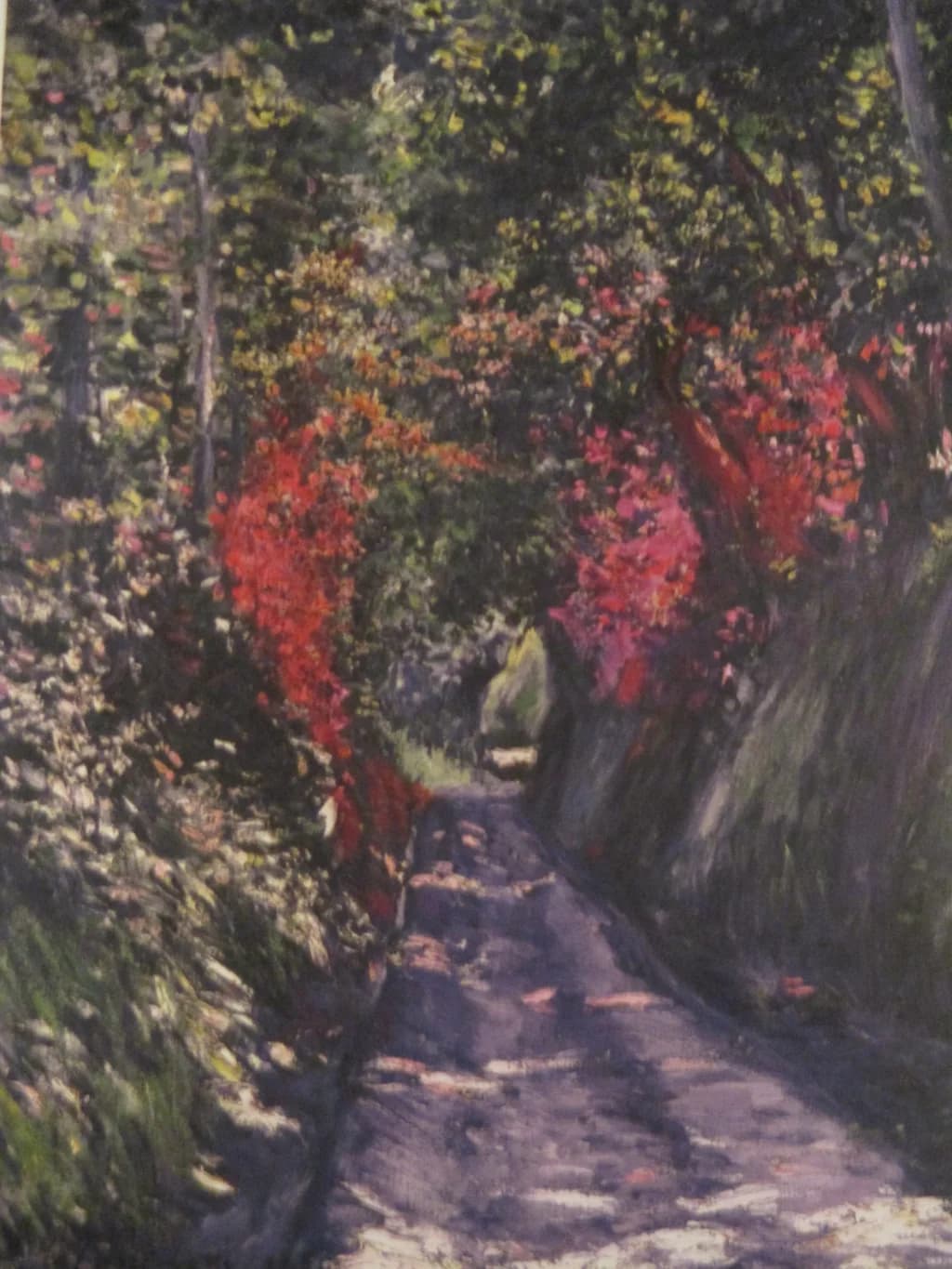 Avenue under Trees