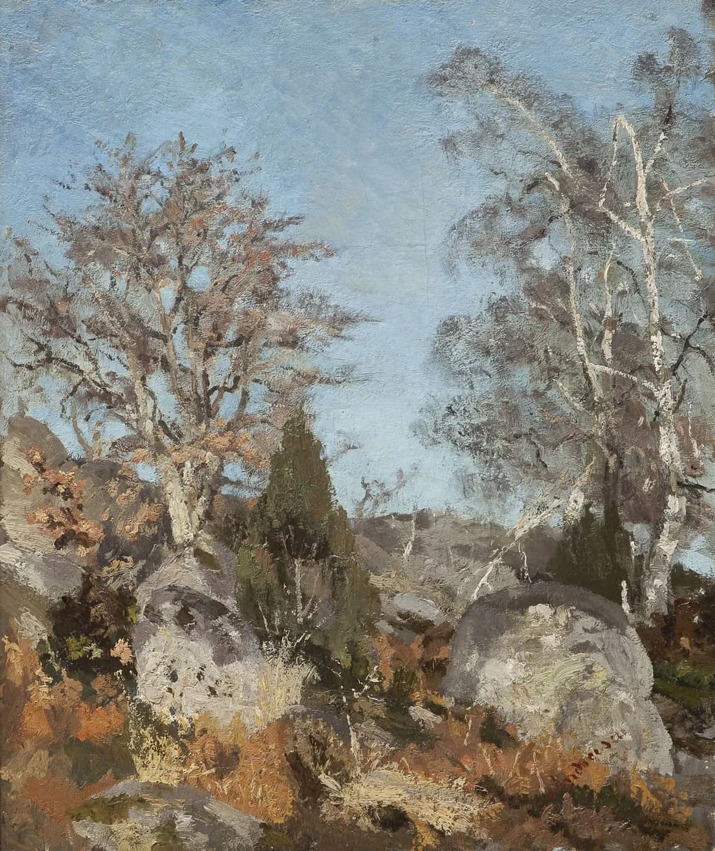Rocks and Birch Trees
