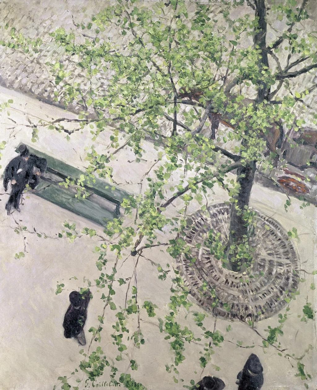 Boulevard vu d'en haut