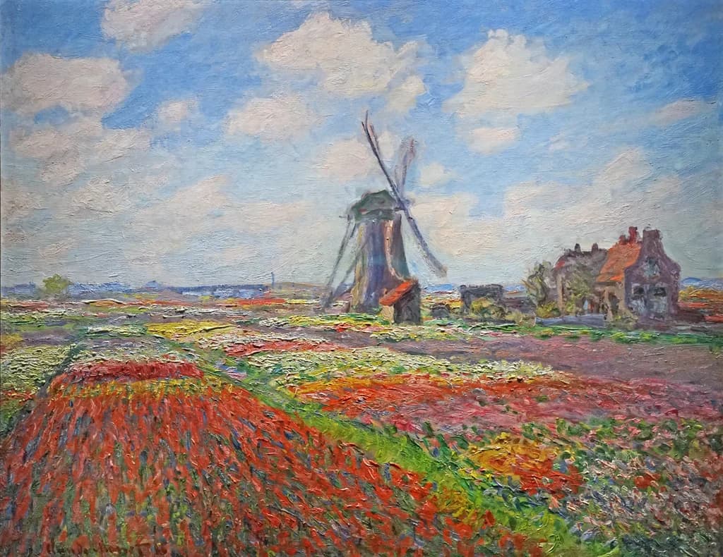 Tulip Field in Holland