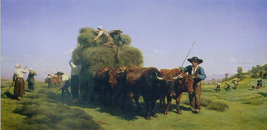 Haymaking in the Auvergne