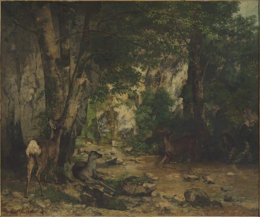 Running deer in Plaisir-Fontaine creek