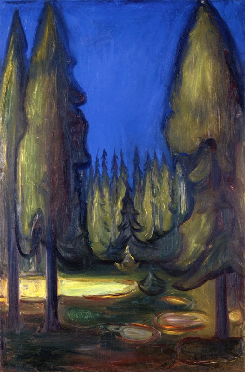 Dark Spruce Forest