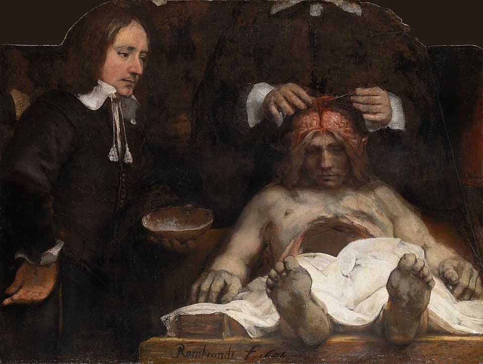 The anatomy lesson of Dr. Joan Deijman