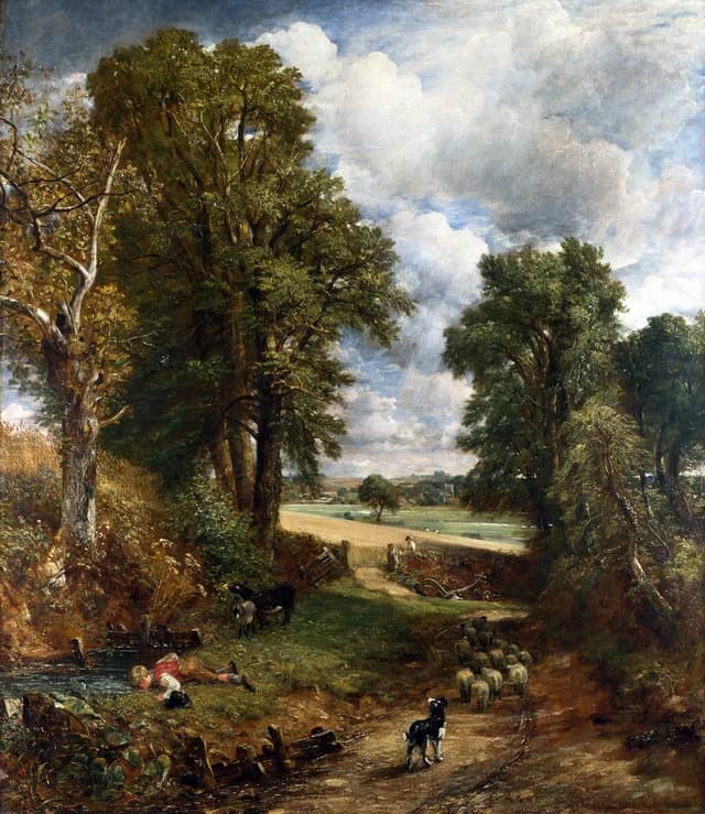 The Cornfield