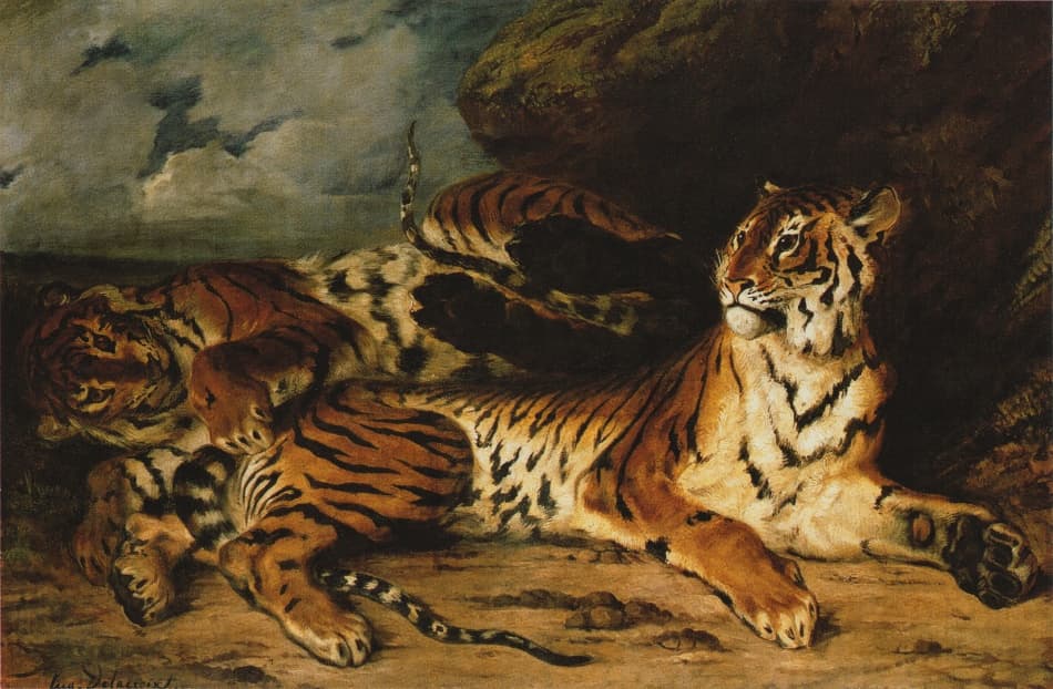 Junger Tiger, mit seiner Mutter spielend