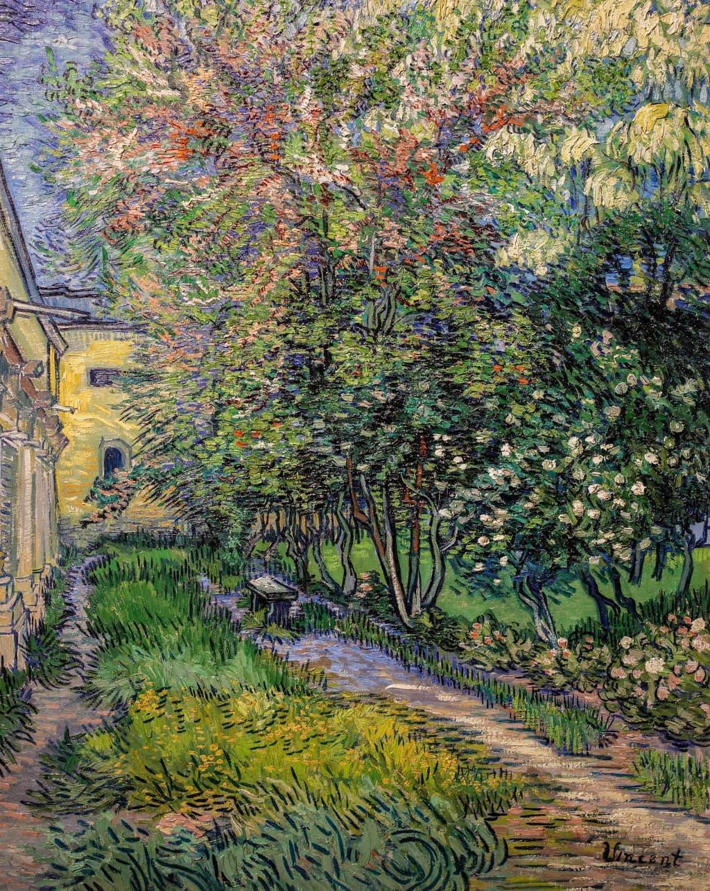 The garden at the asylum at Saint-Rémy