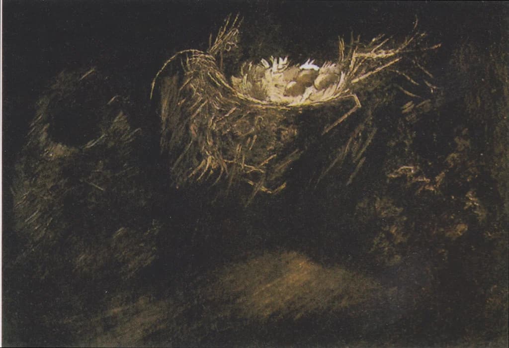 Still Life with Three Birds' Nests