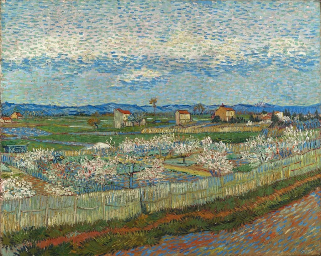 Peach Trees in Blossom