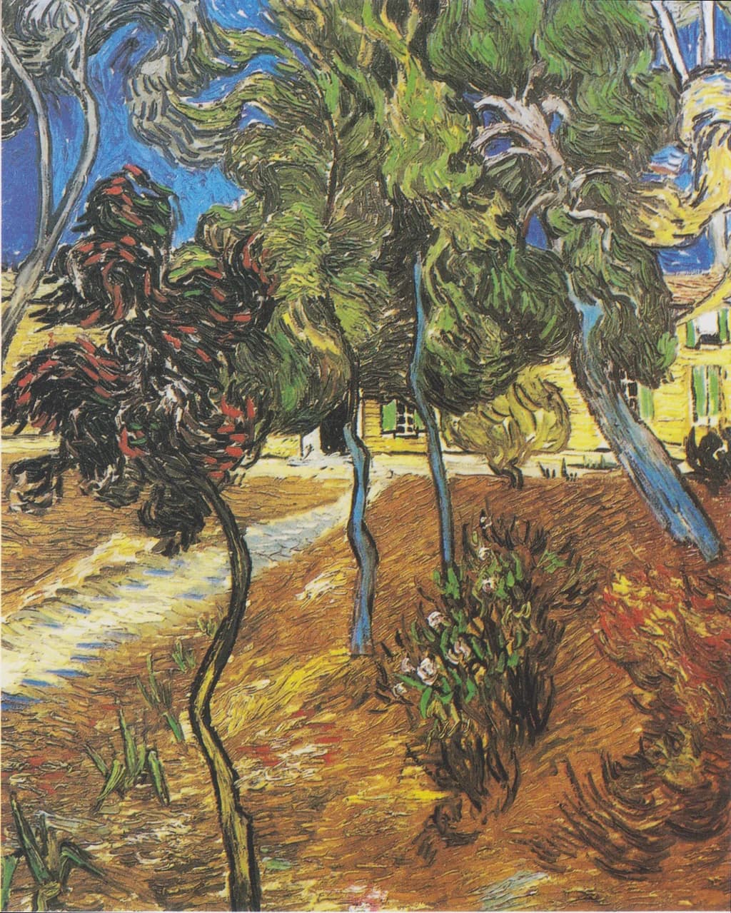 Trees in the Garden of Saint-Paul Hospital