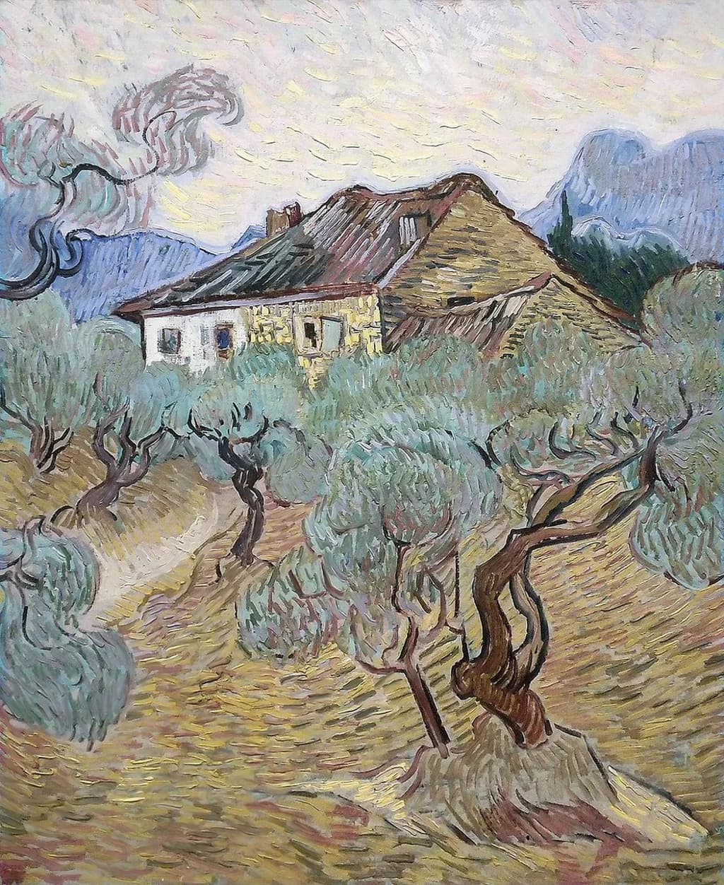The white cottage among the olive trees