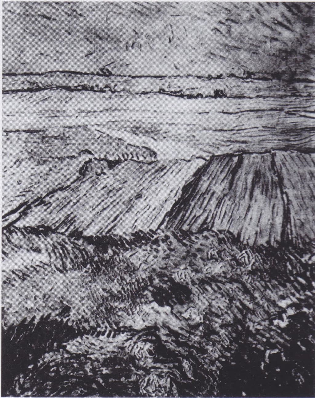 Wheat Fields