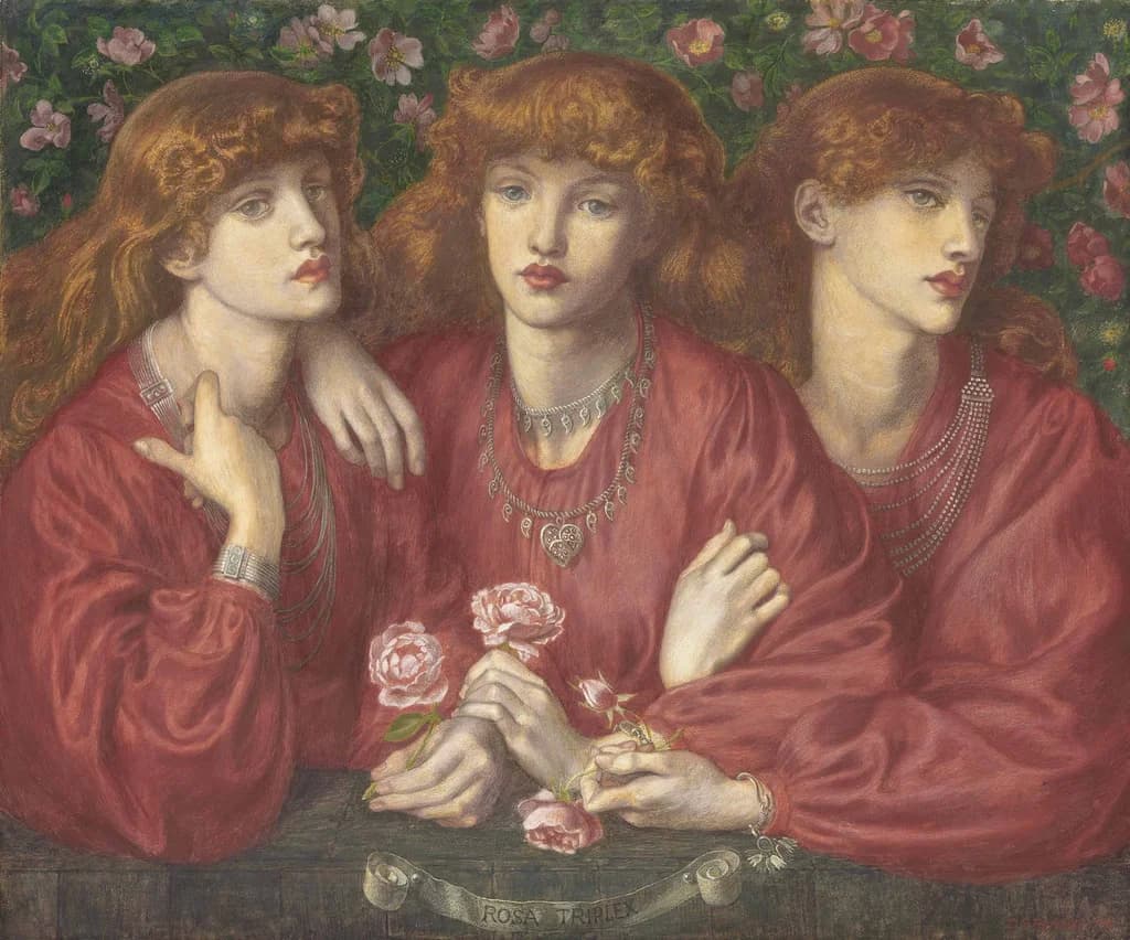 Rosa Triplex