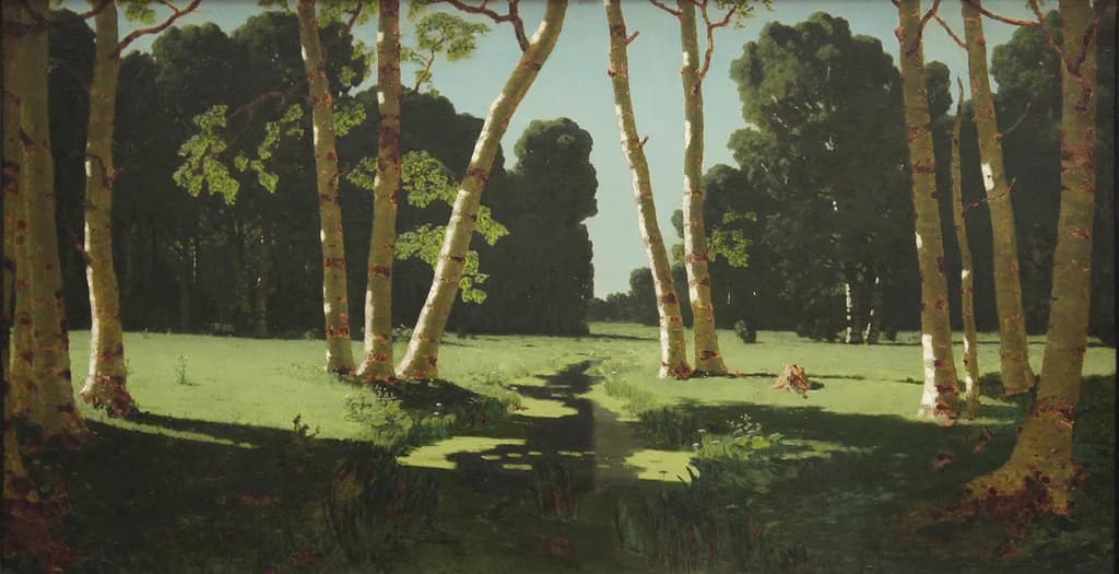 A Birch Grove