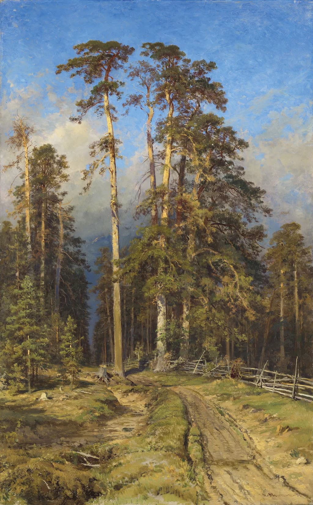 Kiefernwald