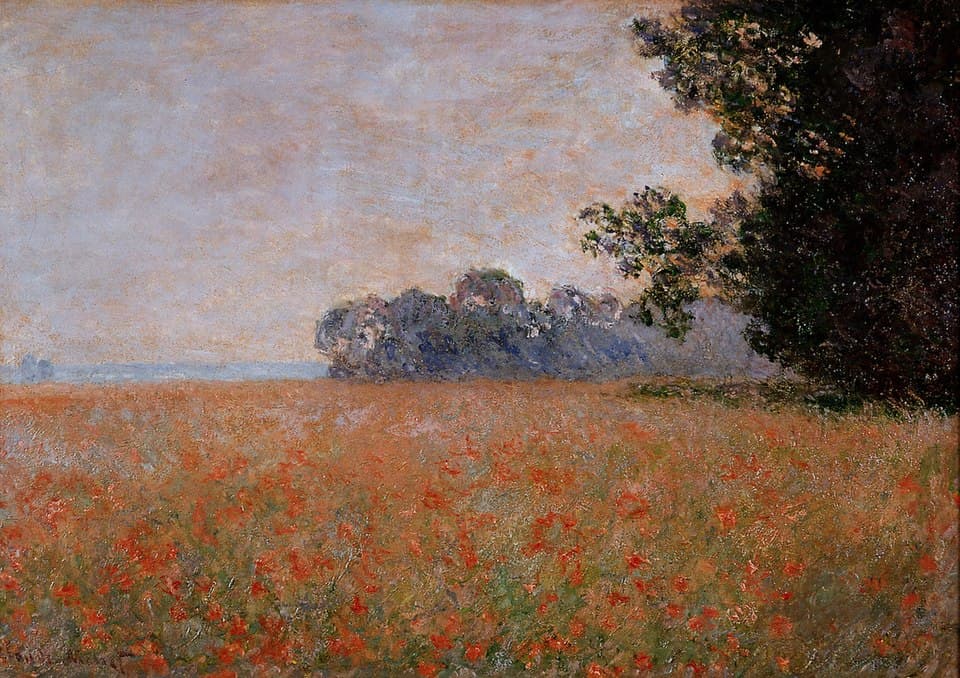 Champ d'avoine aux coquelicots