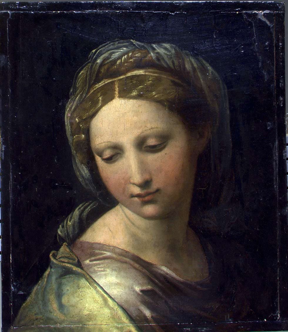 Perla di Modena