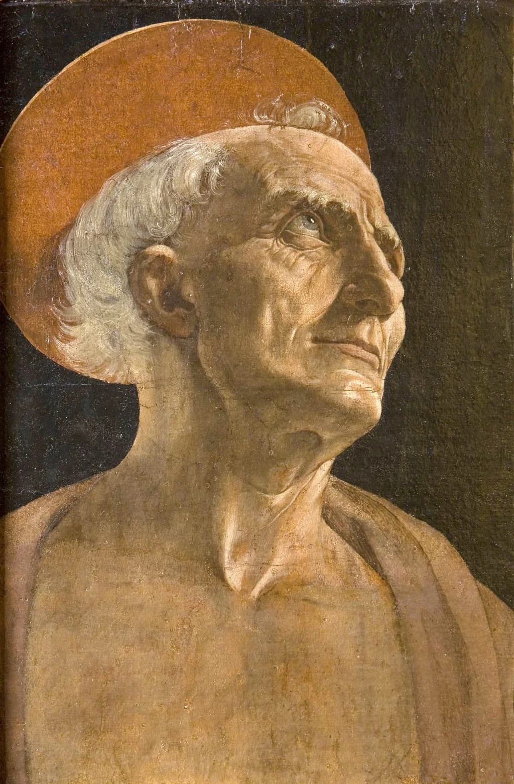 Head of Saint Jerome