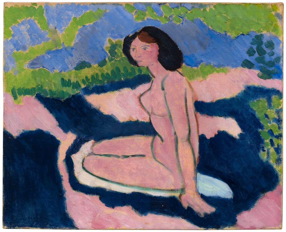 Seated Nude (Matisse)