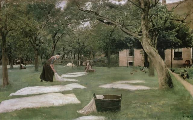 The Bleaching Ground
