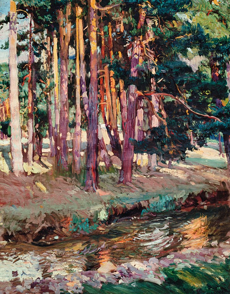 The Forest. La Granja