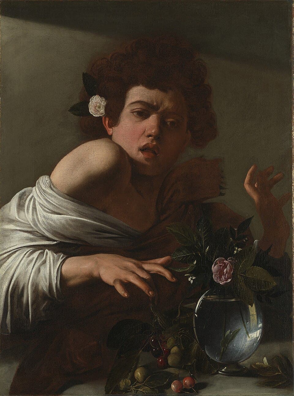 Boy Bitten by a Lizard