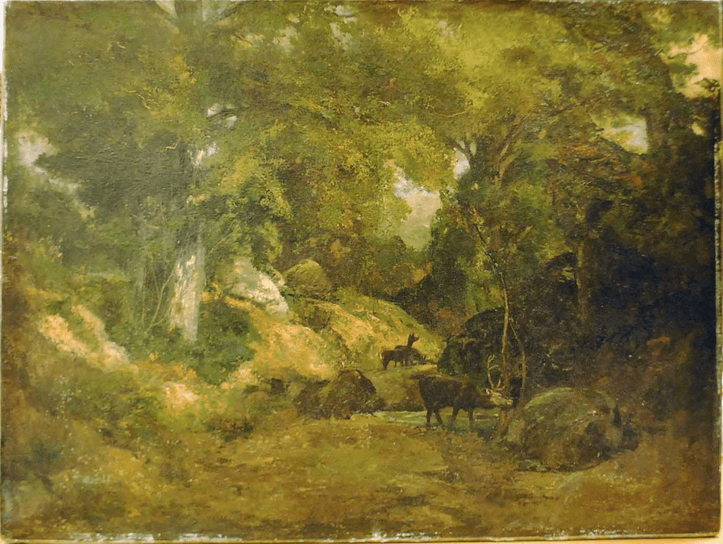 The Stag in the Forest