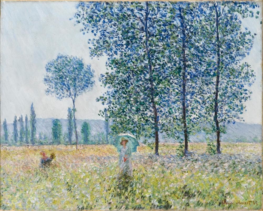 Poplars in the Sun