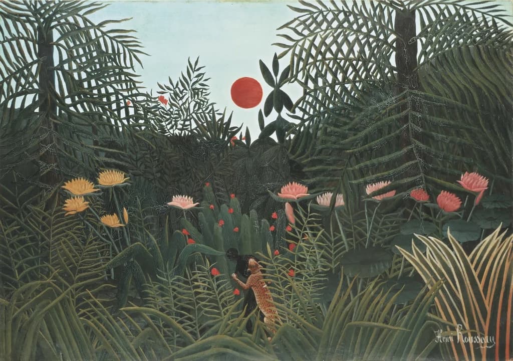 Virgin forest with sunset